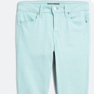 Level 99 Primrose Skinny Mid Rise Stretch Jeans Size 29 NWOT